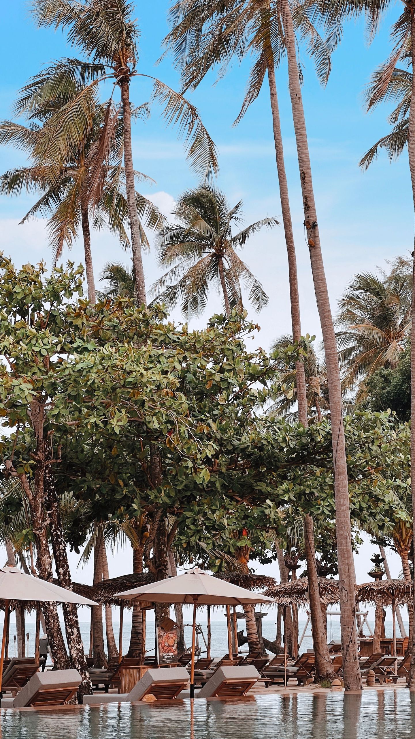 Bang Tao beach area